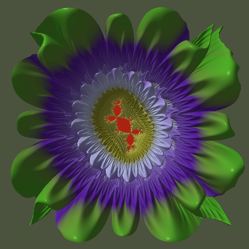 Douadys Rabbit flower