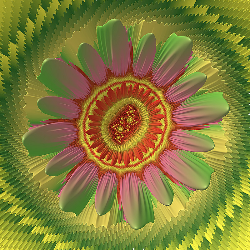 Julia flower yellow red  green