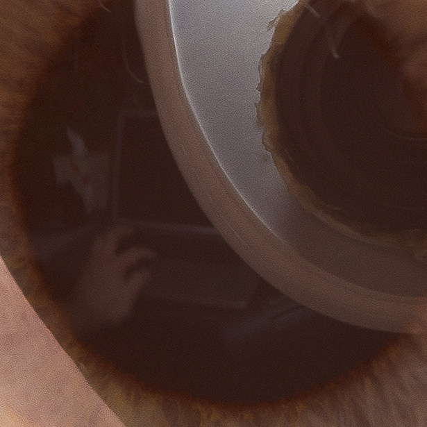 Eyeball 0012 100% crop (V75)