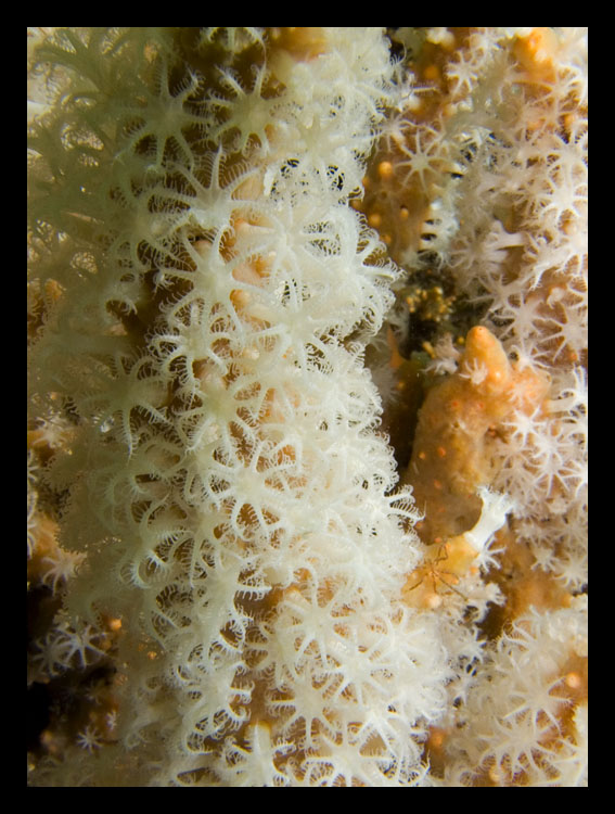 M0010435.jpg