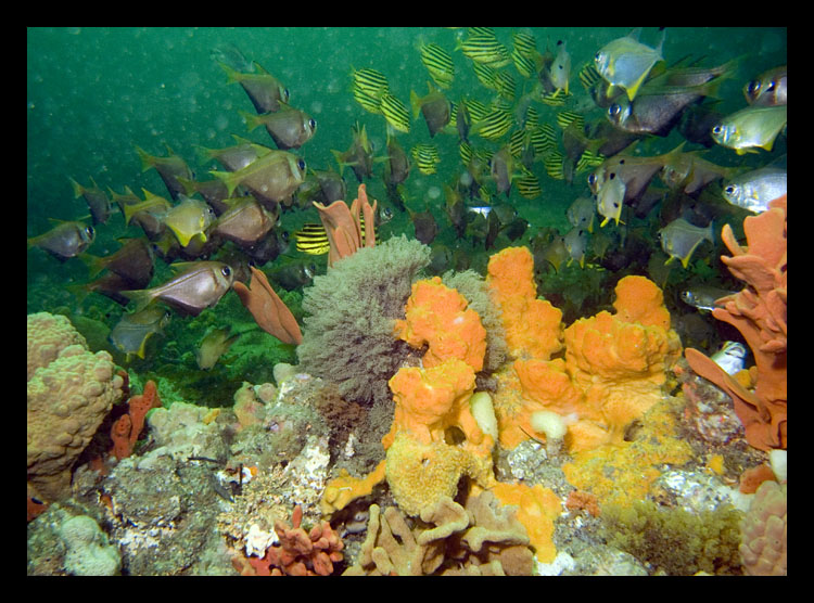 M0010442.jpg