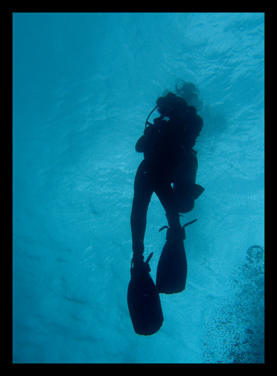 M0010517.jpg
