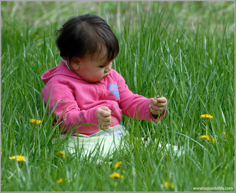 Maria learning about some Grass!