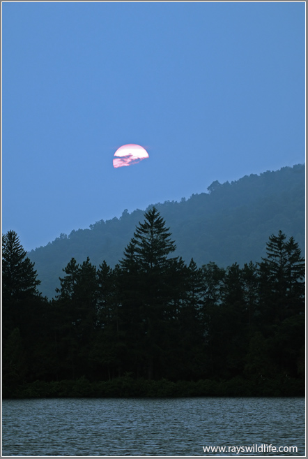 Sunset over Allegany
