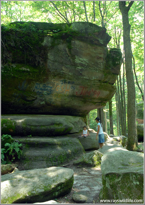 Under a Rock!