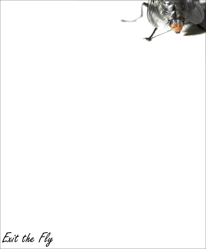 Exit the Fly