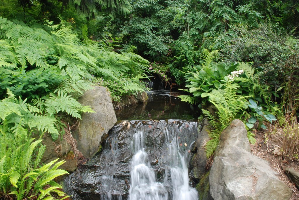 DSC_0596.JPG