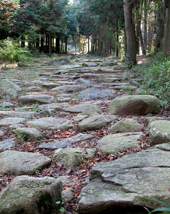 Nakasendo Highway ishidatami (stone paving)