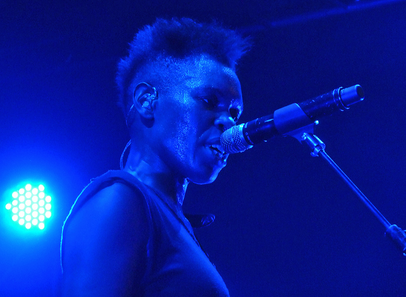 Skunk Anansie