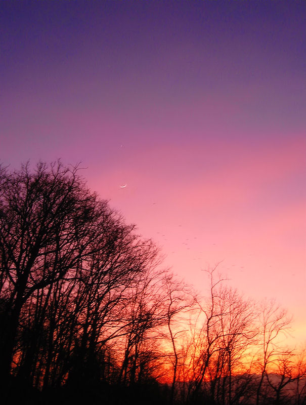 Sunset again - there is one a day after all.