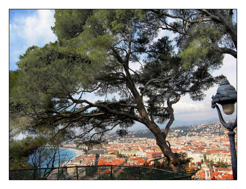 Panoramic