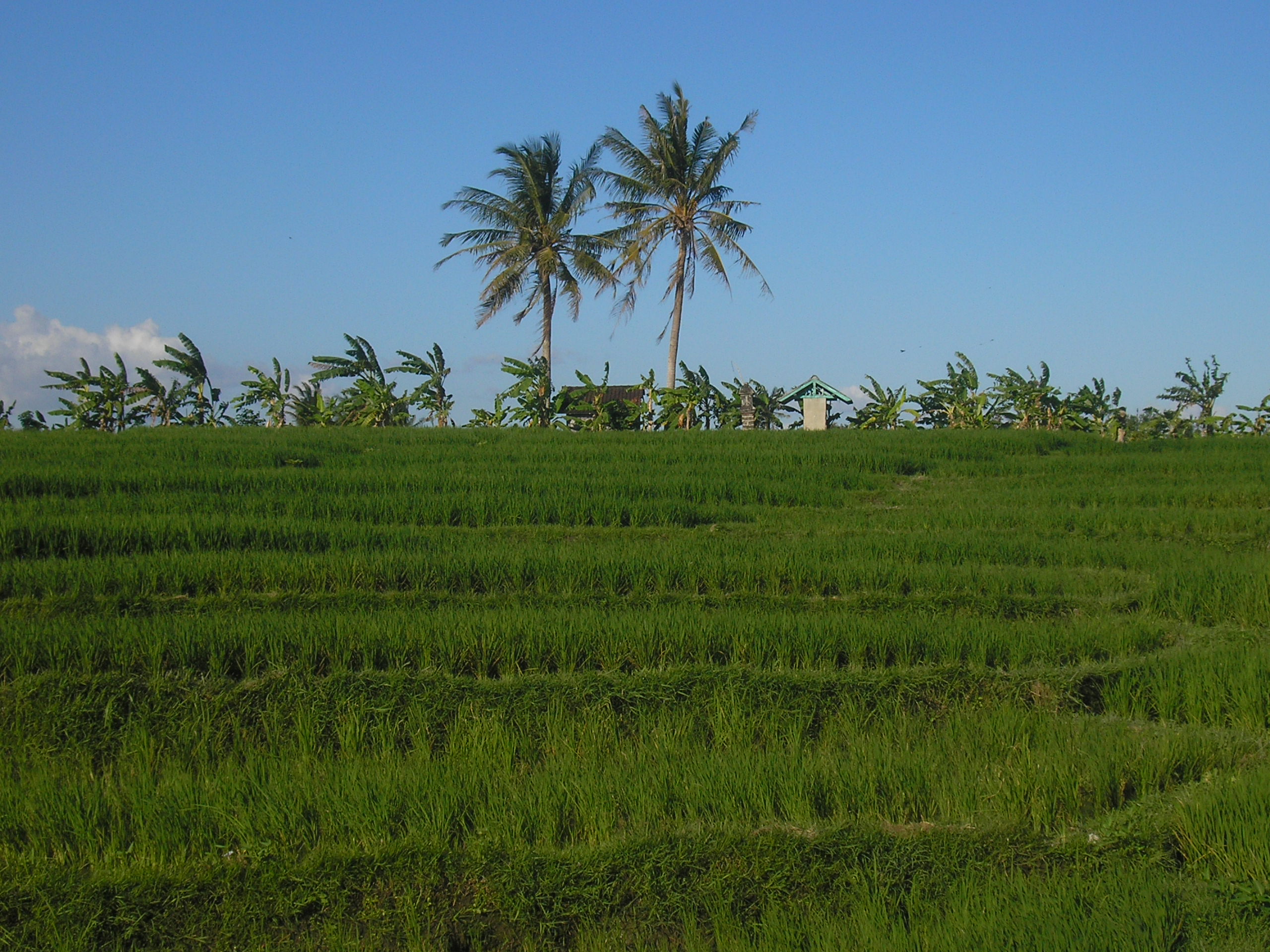 P1010164.JPG