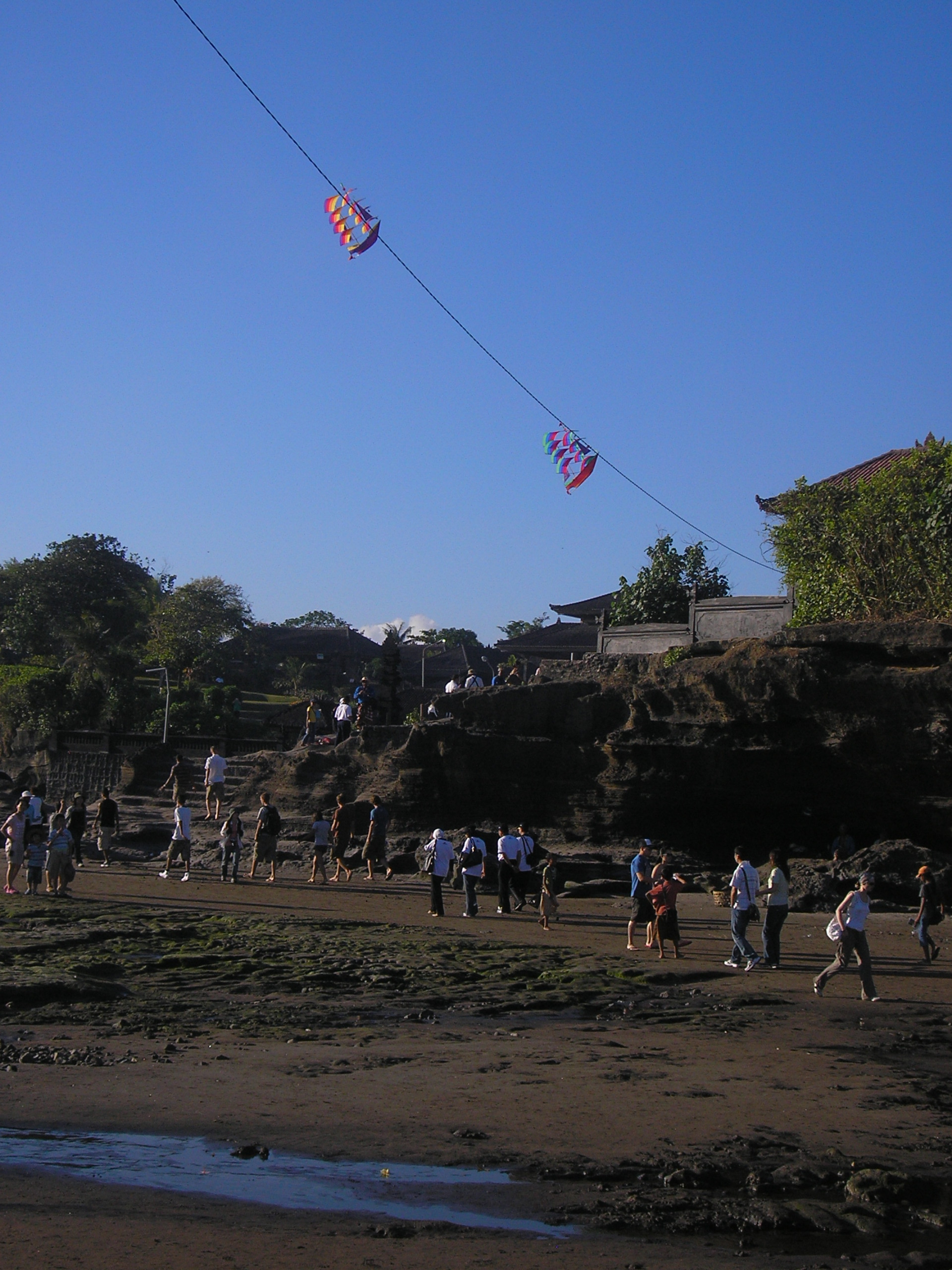P1010172.JPG