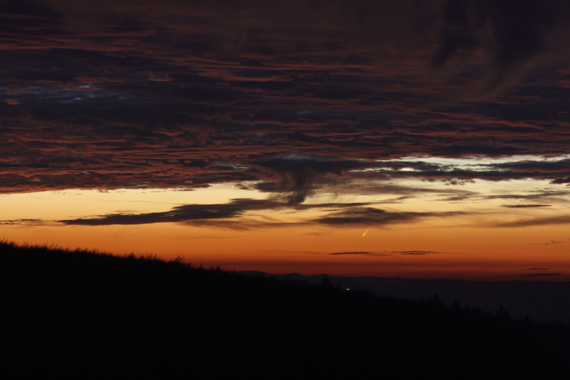 McNaught_2.jpg
