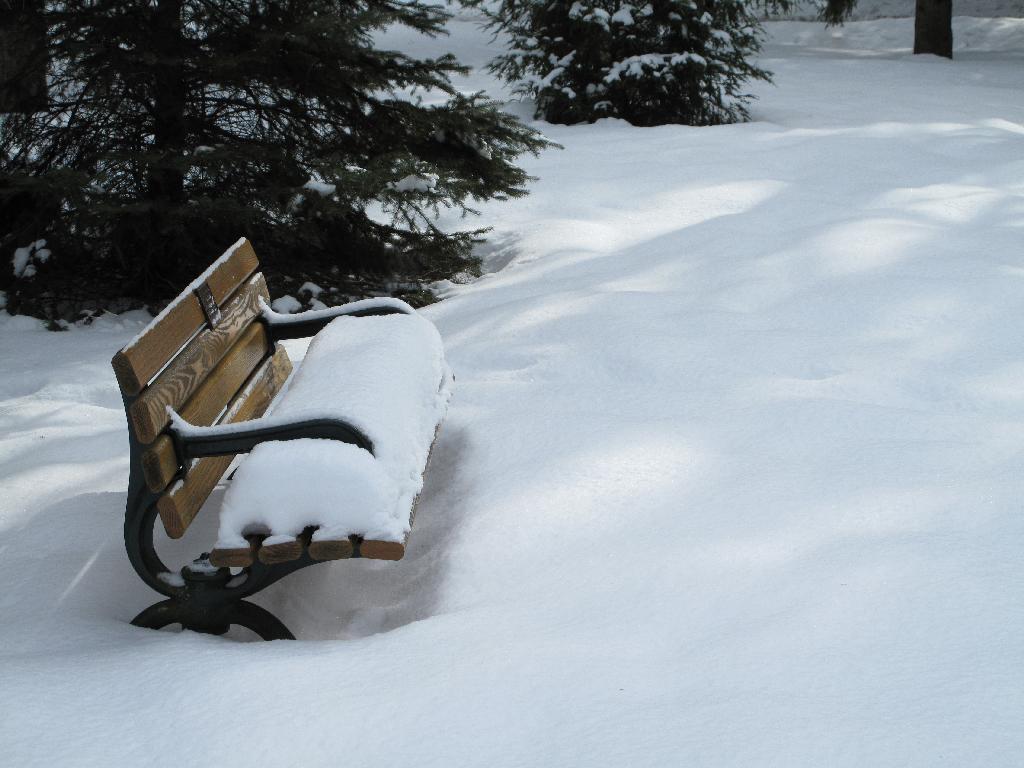 Bench After Snow, Klienberg, Ontario