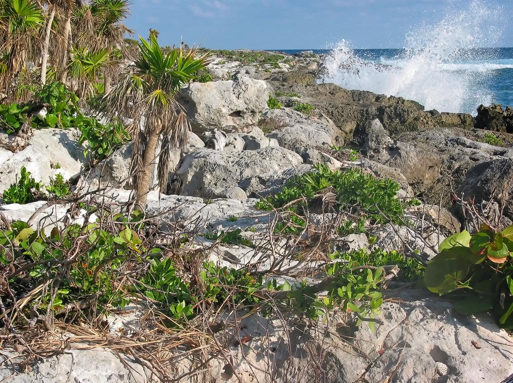Xel-Ha 11