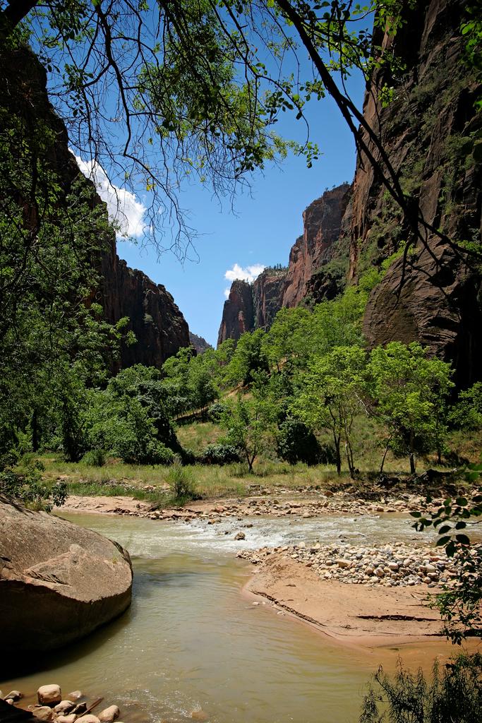 Riverside Walk, Zion Canyon, Zion National Park