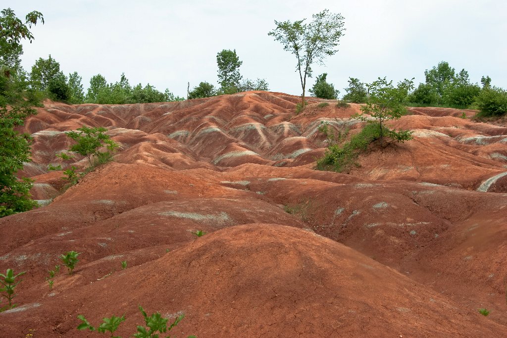 Ontario Badlands, Cheltenham