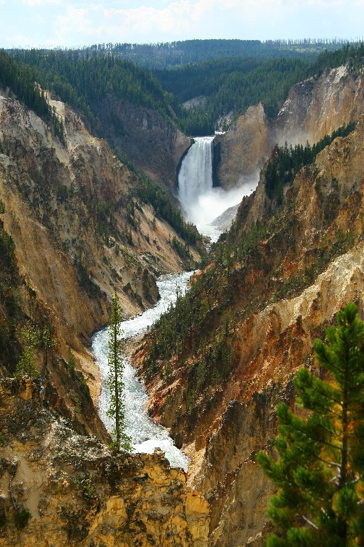 Lower Falls, Yellowstone Canyon, Yellowstone National Park