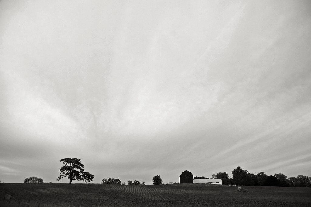 Farm Scene, Bowmanville, Ontario