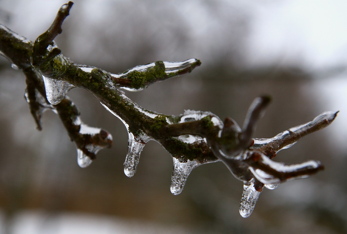 Frozen in time