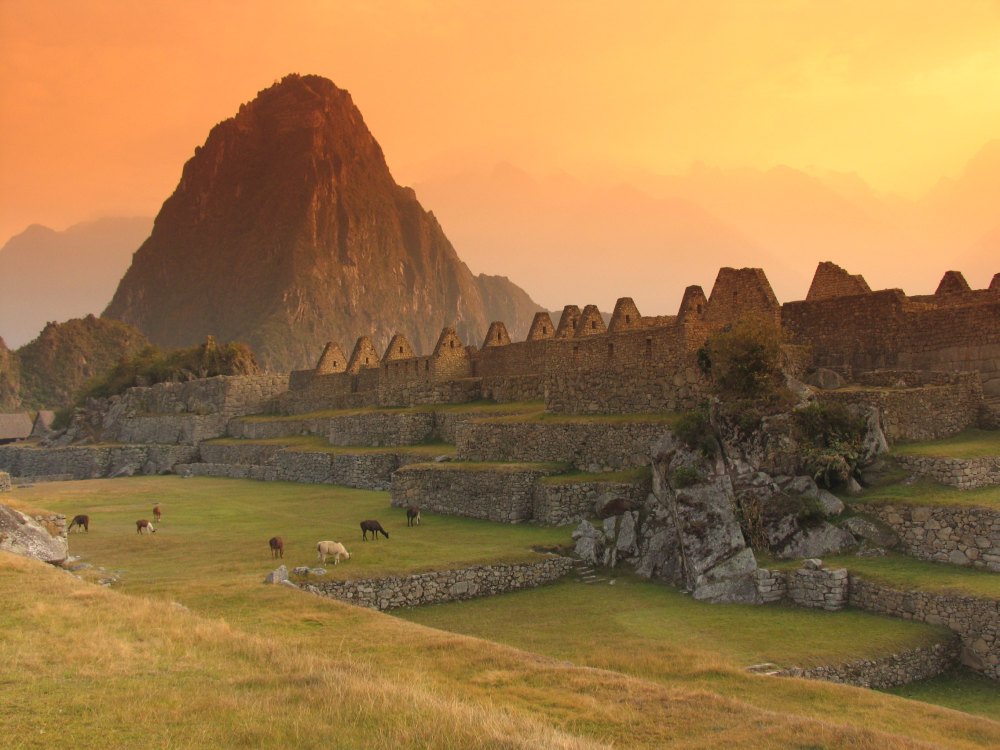 Machu Picchu