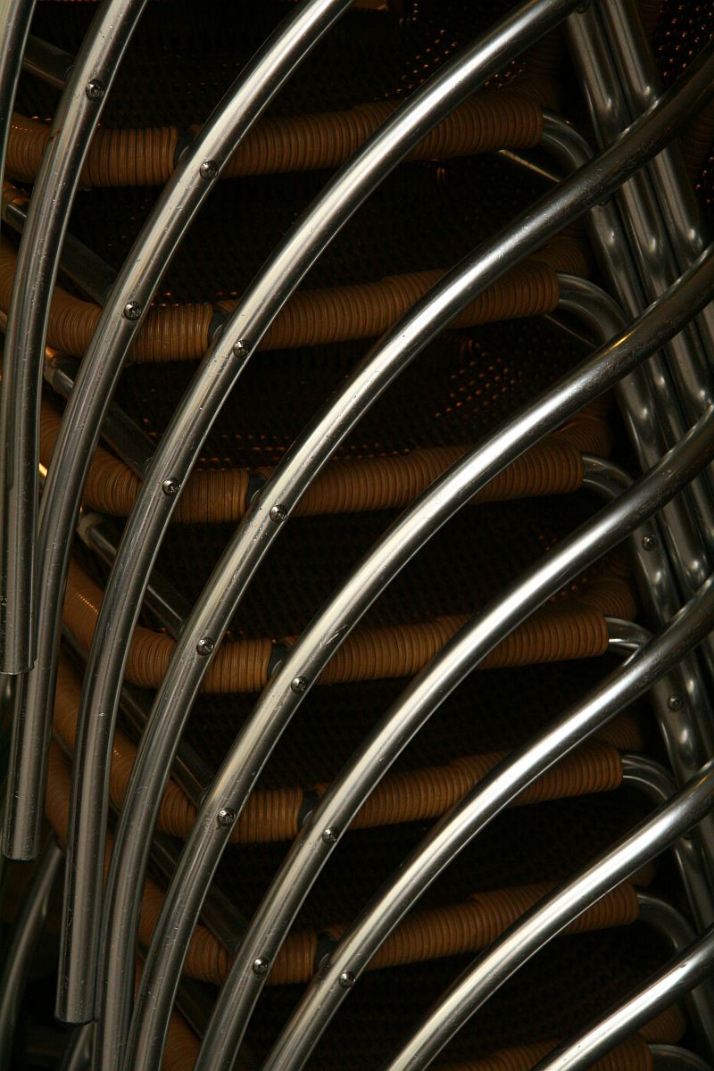 Schwarzeneggers ribcage