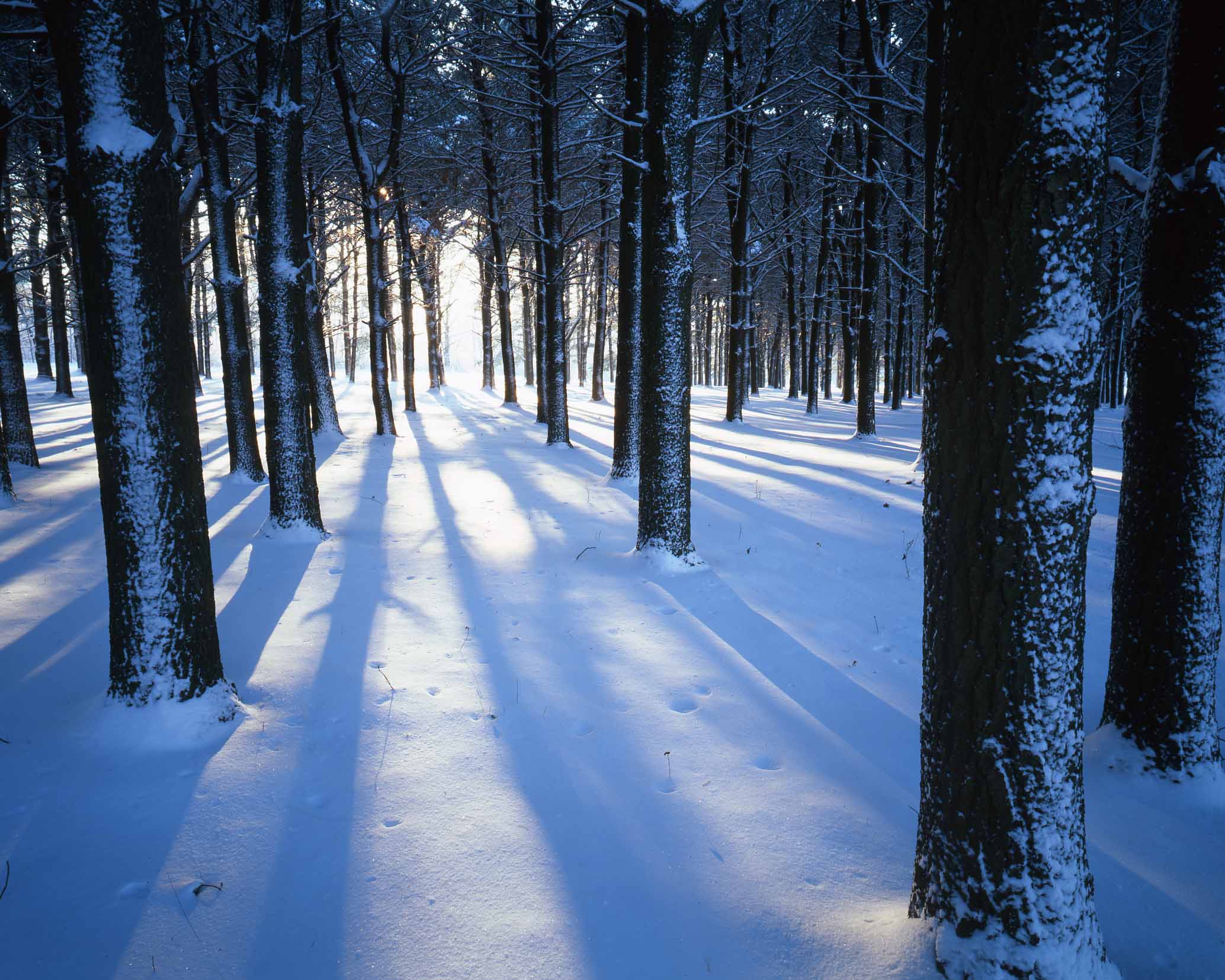 27 Moraine Hills State Park