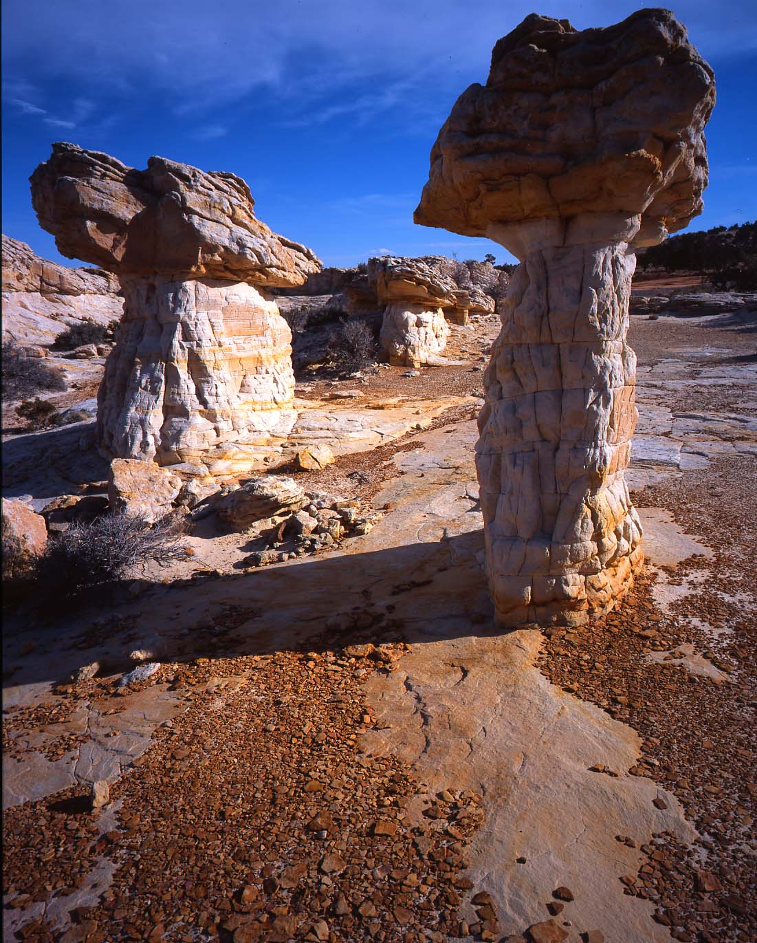 Grand Staircase Escalante NM