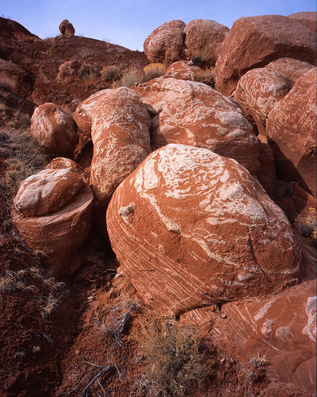 Grand Staircase Escalante NM