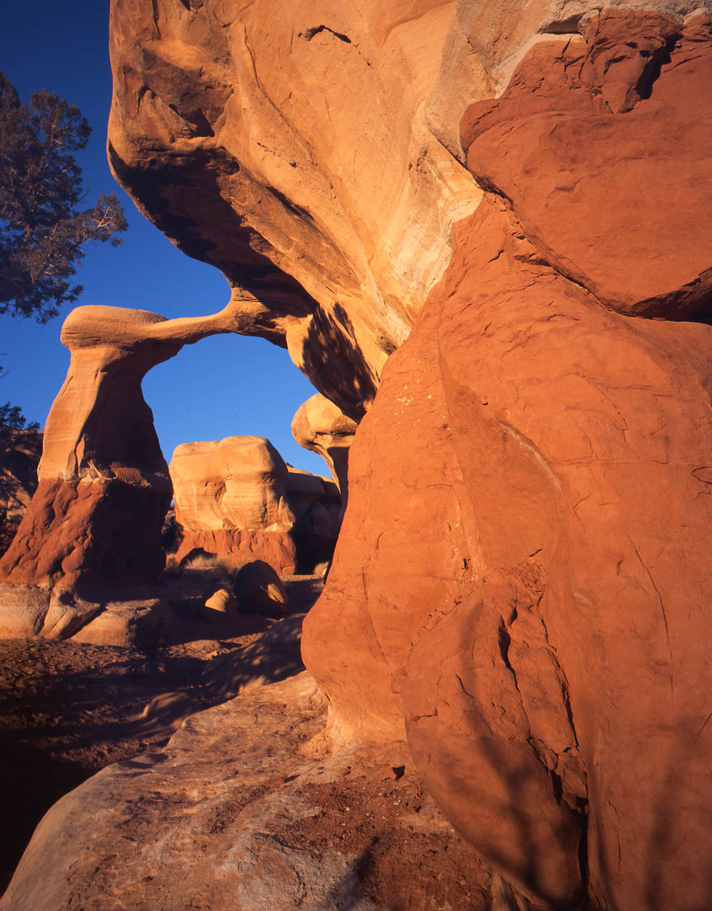 Grand Staircase Escalante NM