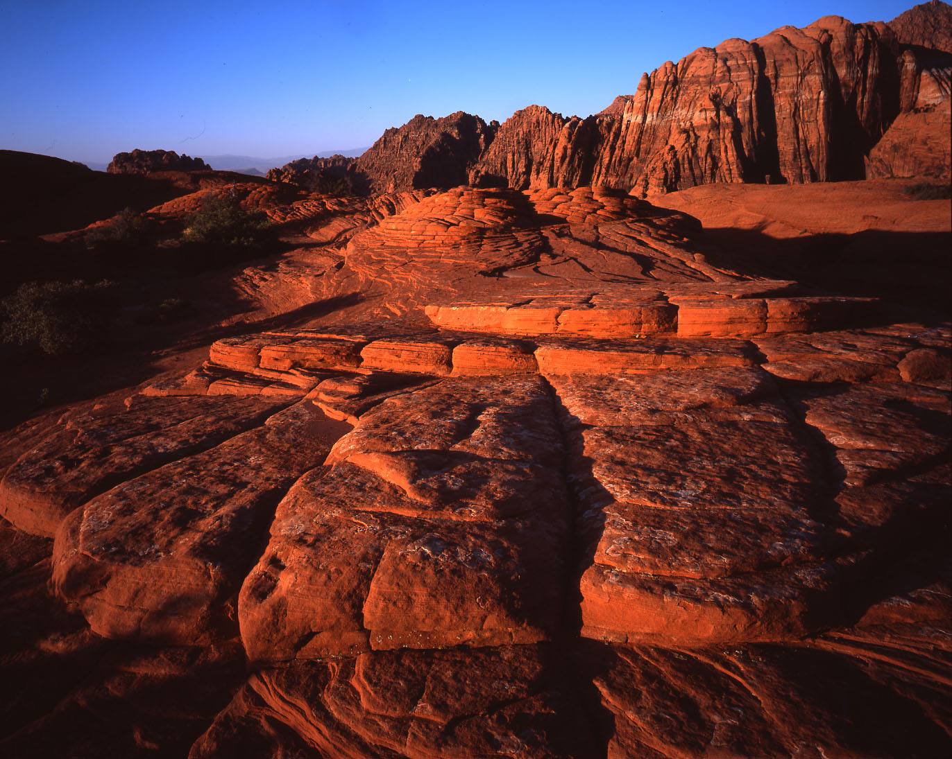 Snow Canyon SP, Utah