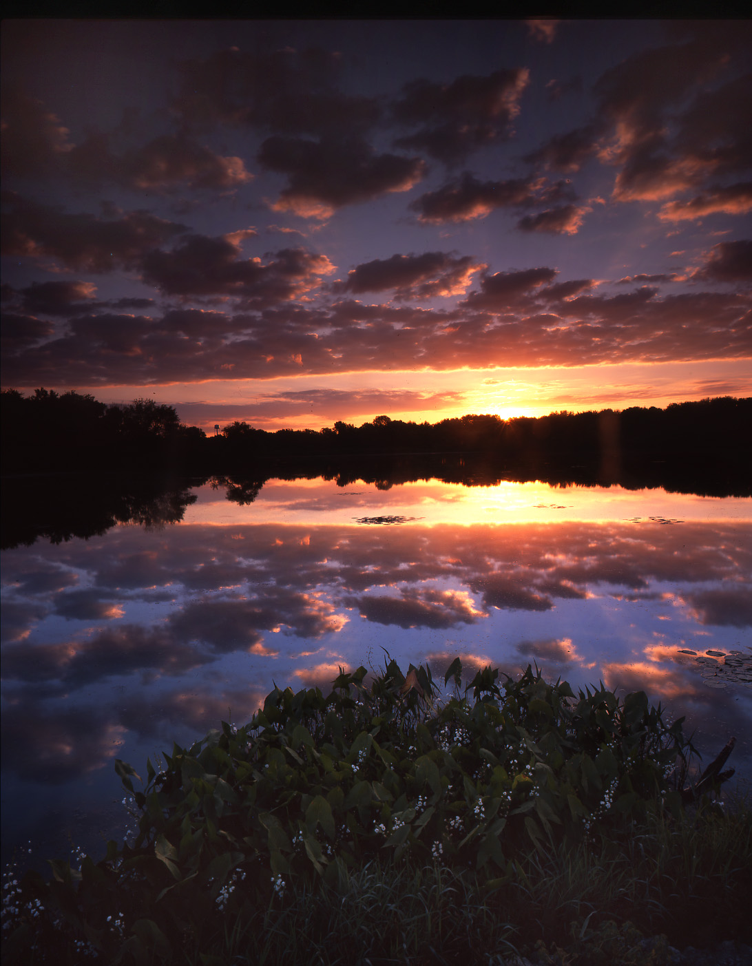 Snug Harbor, McHenry, IL
