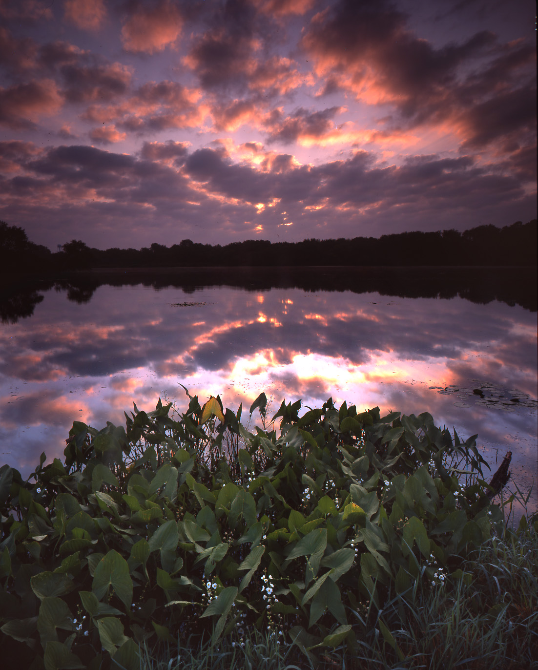 Snug Harbor, McHenry, IL