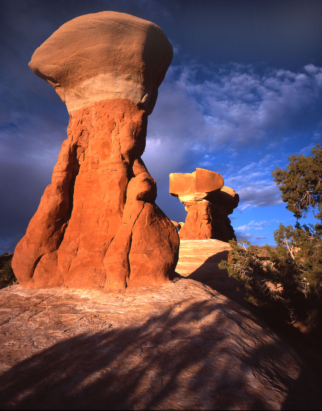 Devils Garden