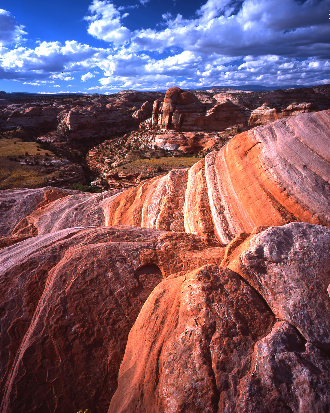 Calf Creek NRA overlook