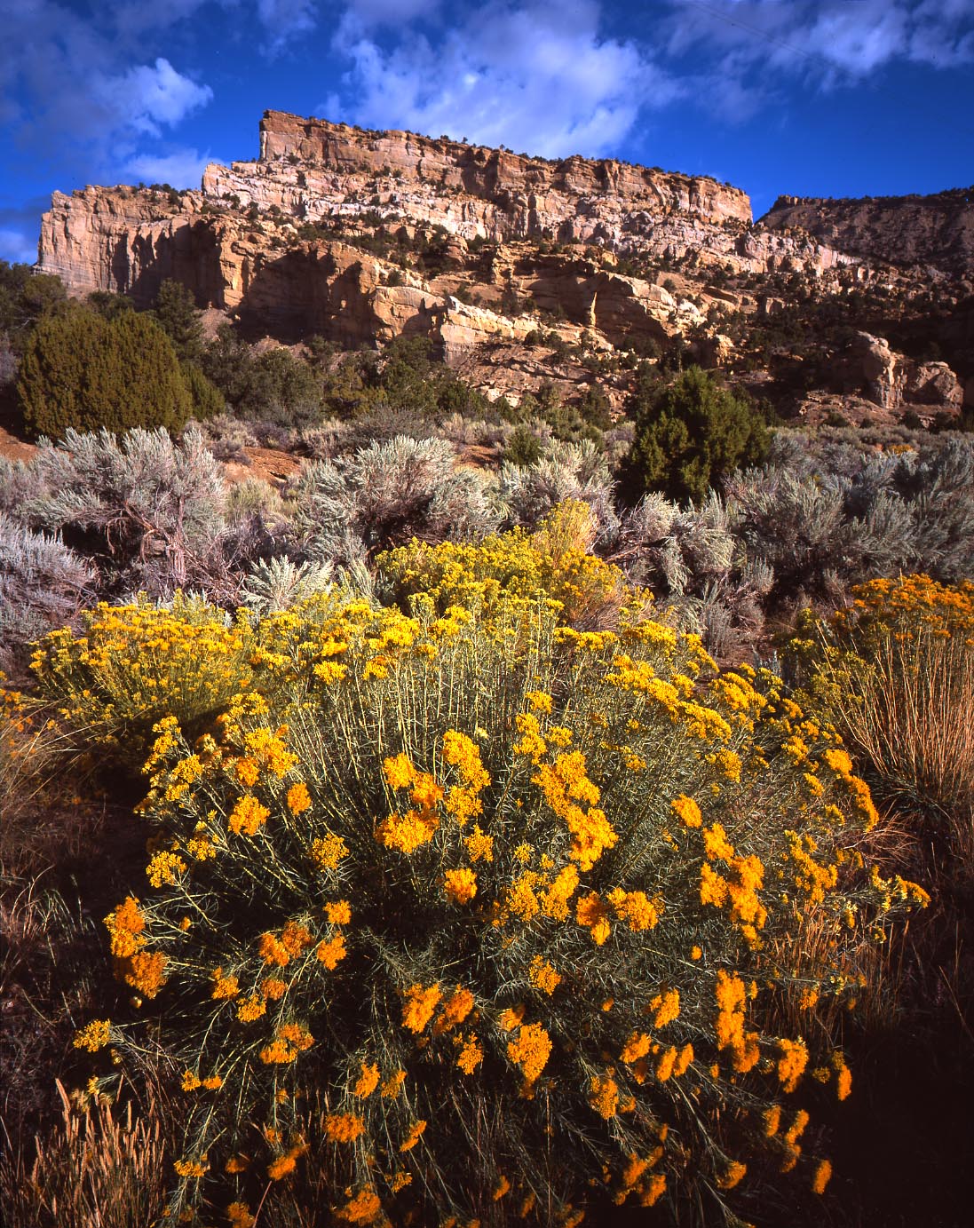 Devils Garden