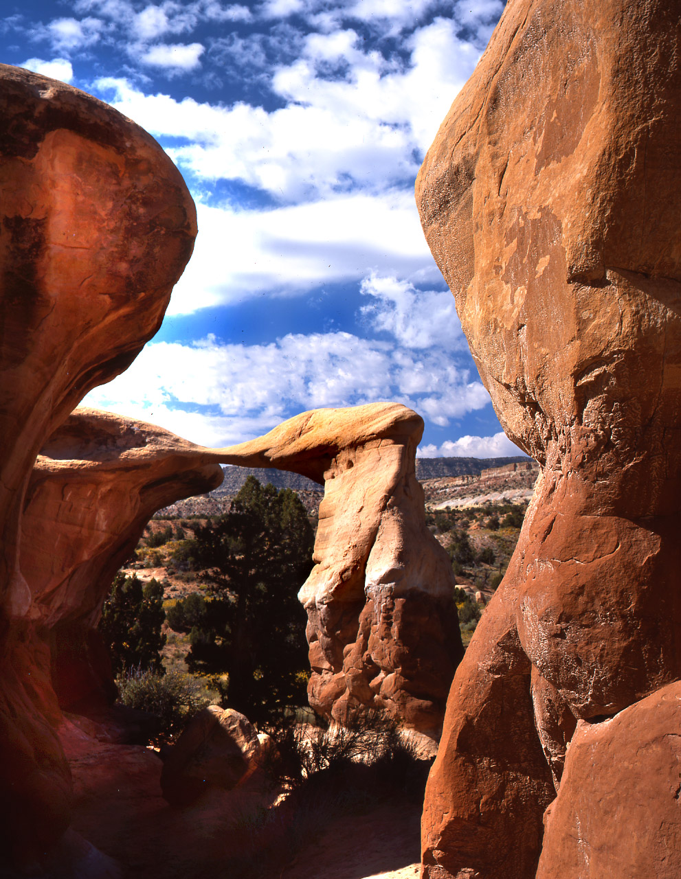 Metate Arch, Devils Garden