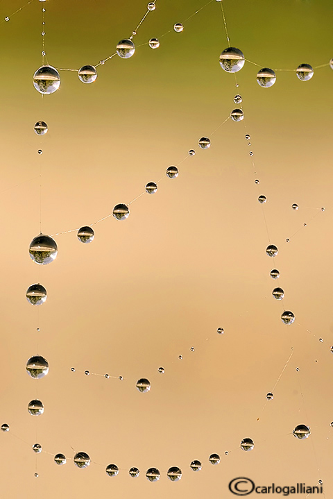 Gocce dacqua - Drops