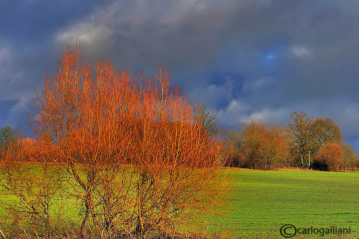 France