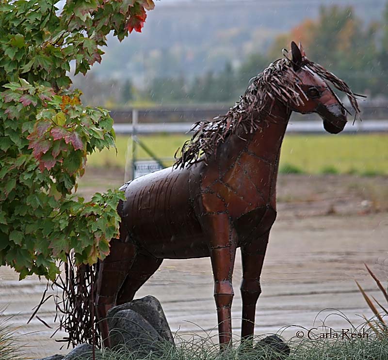 Iron Horse