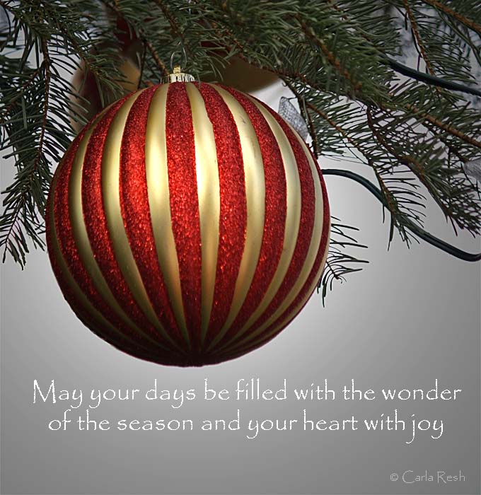 Merry Christmas and Happy Holidays