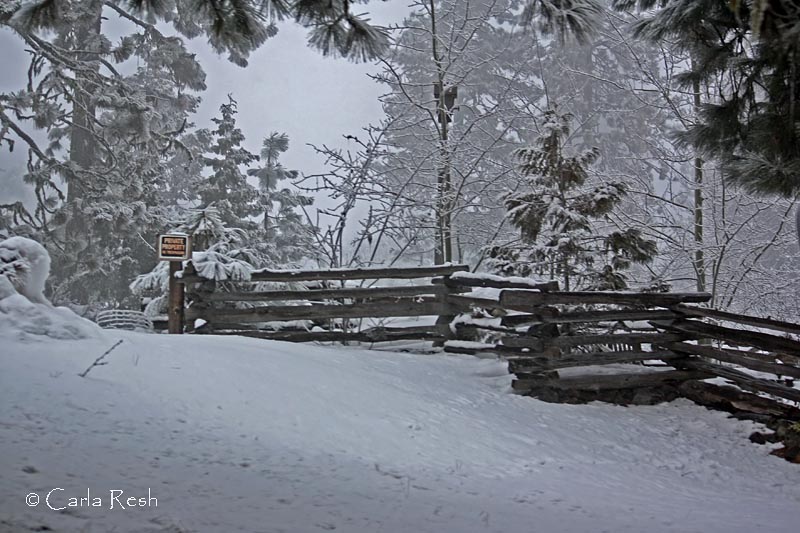 Old Style Fence with Snow