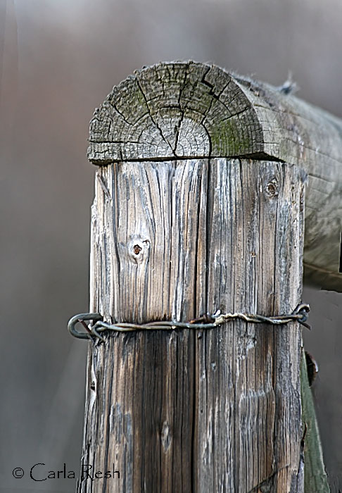 Fence Post