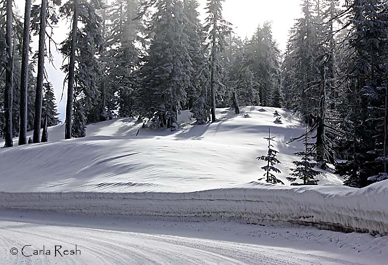 Wintery day