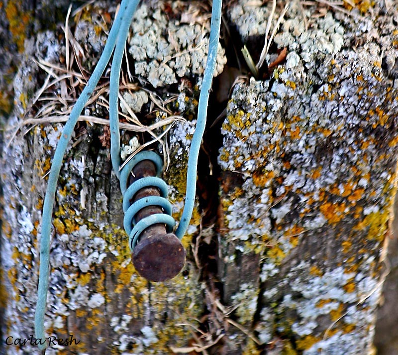 Old post and nail