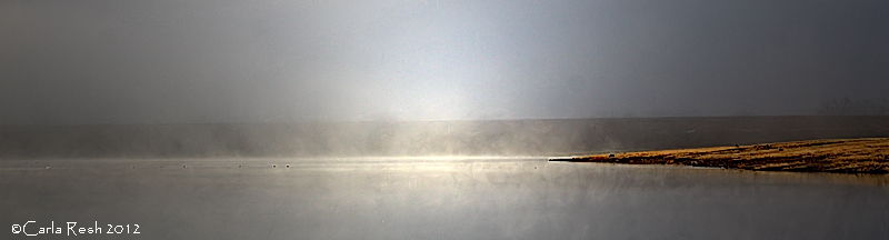 Morning fog on the lake