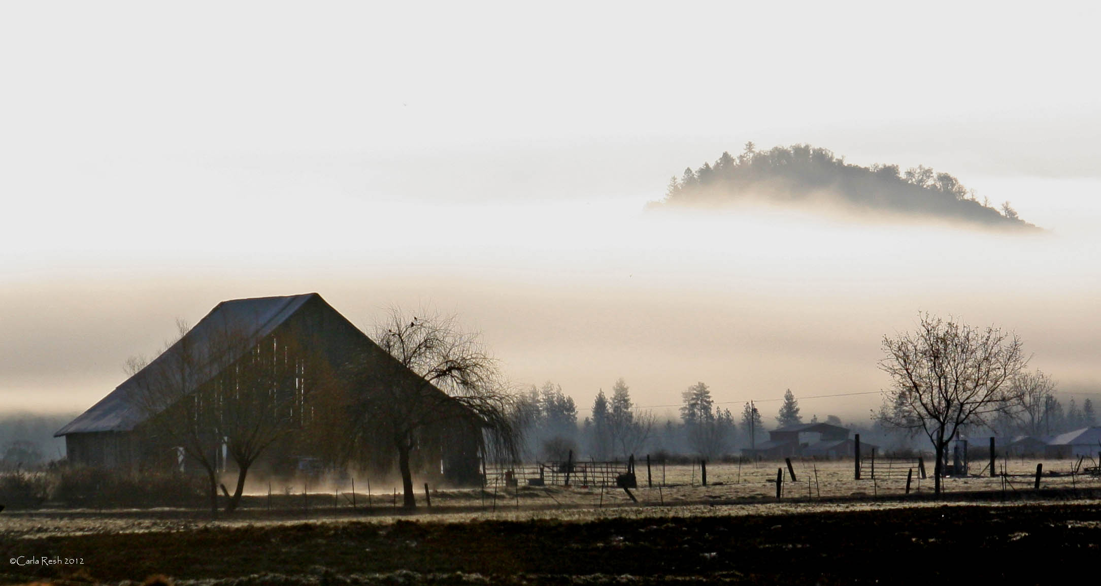 Morning Fog