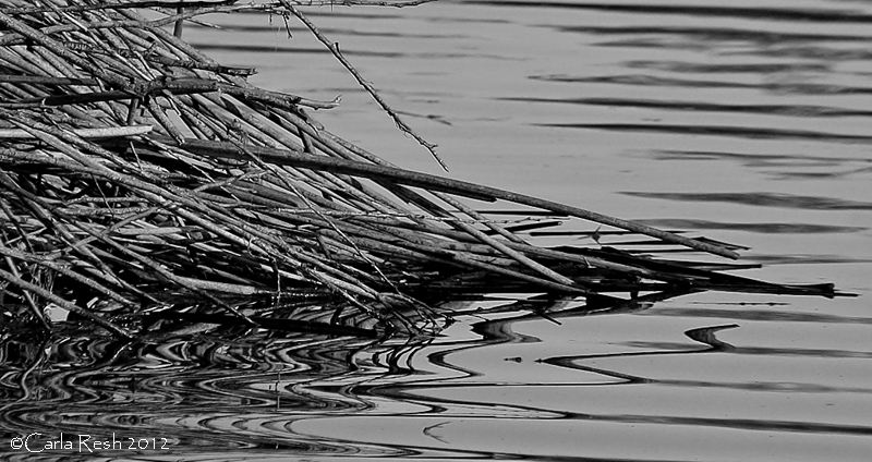 Reflections and Ripples