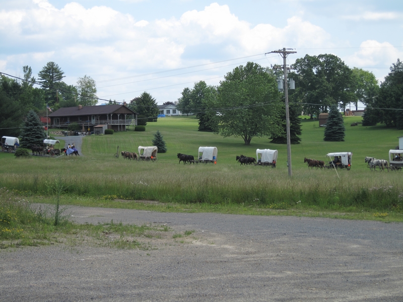 IMG_0892 800x600.JPG